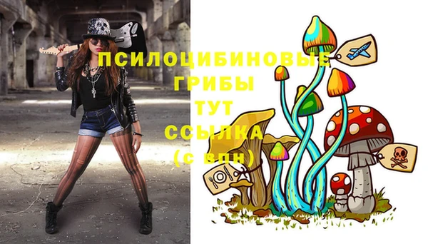 прущая мука Медногорск