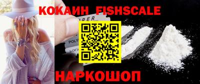 тгк Кингисепп