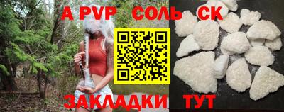 тгк Кингисепп