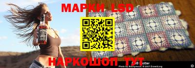 тгк Кингисепп