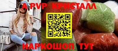 тгк Кингисепп
