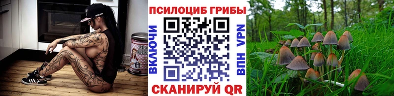 Псилоцибиновые грибы мухоморы Янаул