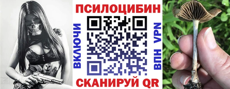 hydra маркетплейс  Янаул  Галлюциногенные грибы Psilocybine cubensis  это какой сайт  купить  цена 