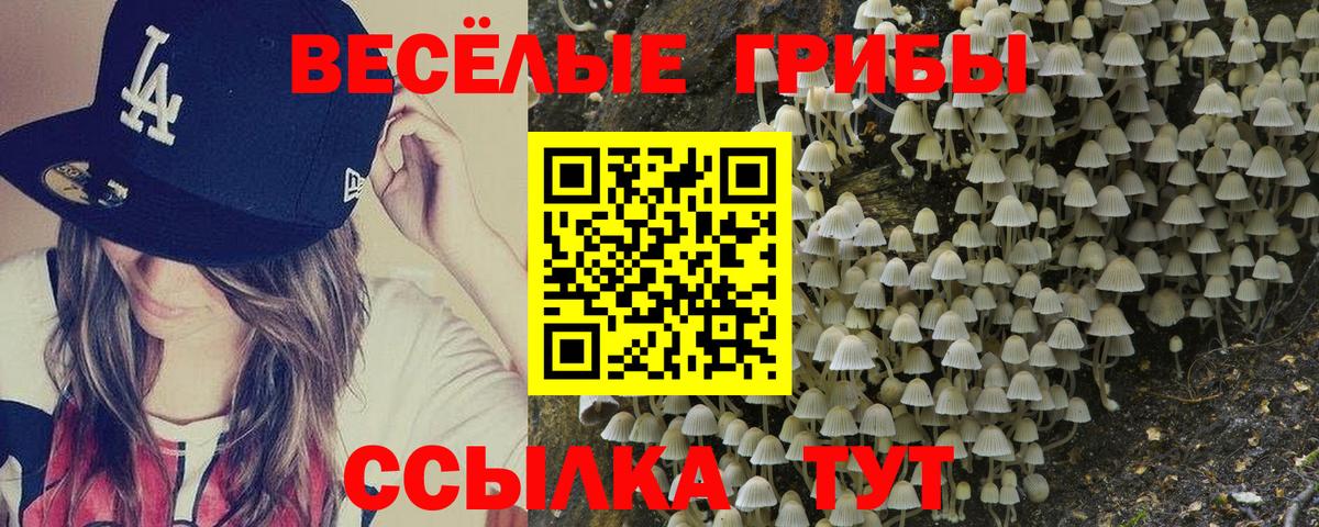 Псилоцибиновые грибы Magic Shrooms  Псилоцибиновые грибы мухоморы  Янаул  Вход с VPN 