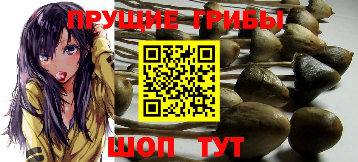 Псилоцибиновые грибы ЛСД Янаул