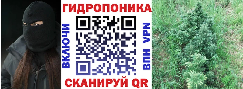 наркота  Янаул  МАРИХУАНА сатива 